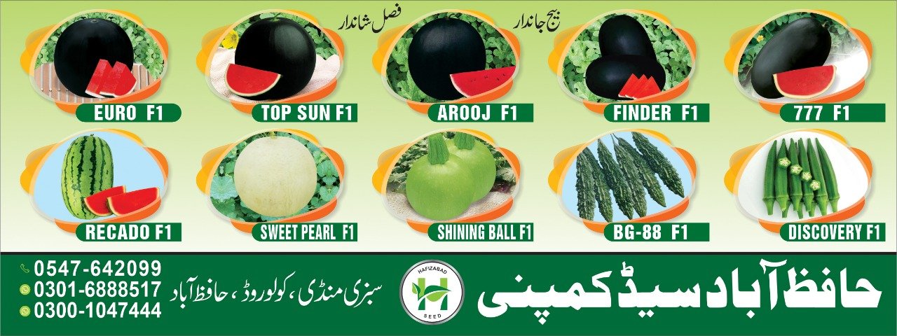 Hafizabadseed