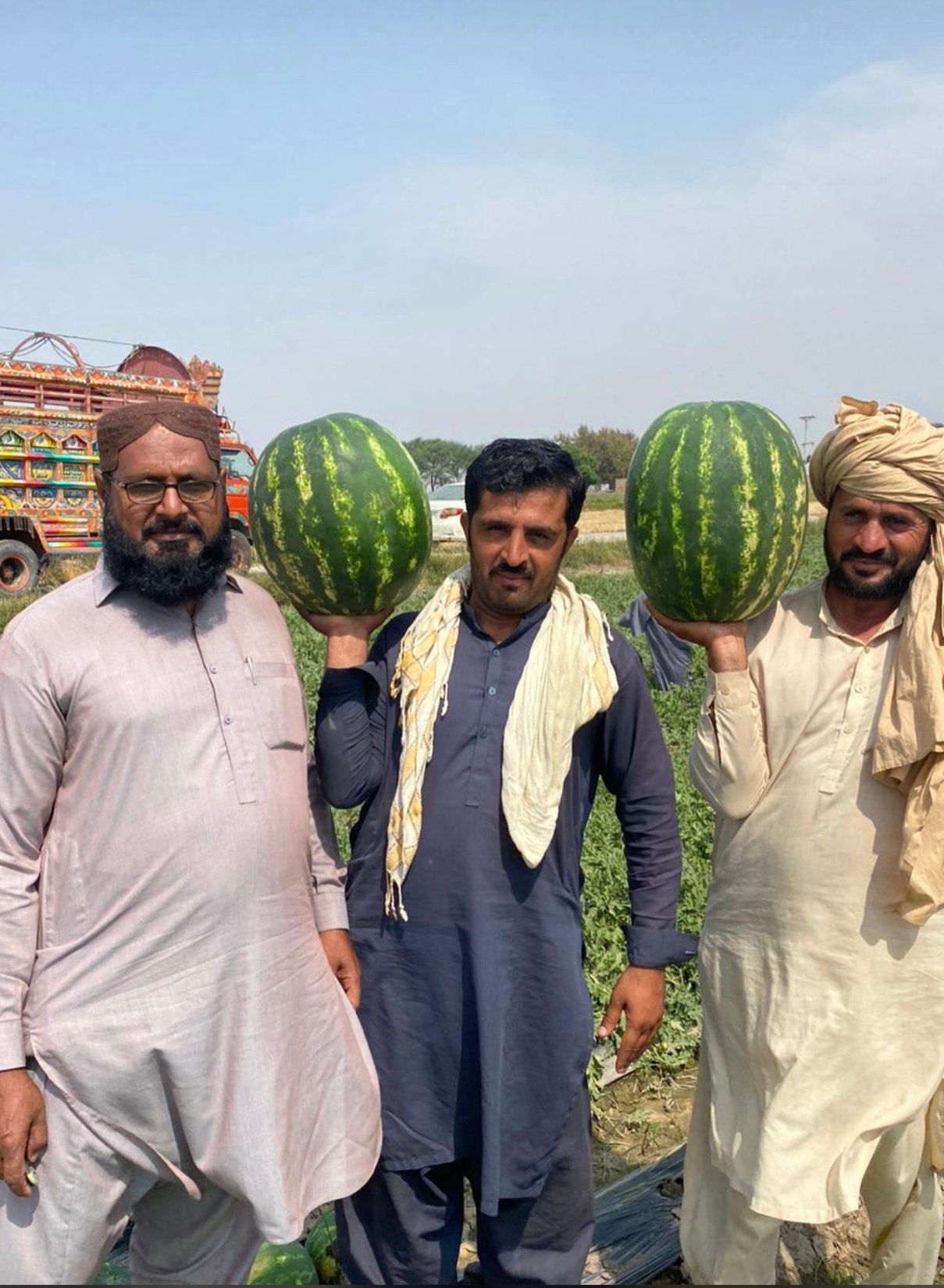 Hafizabadseed